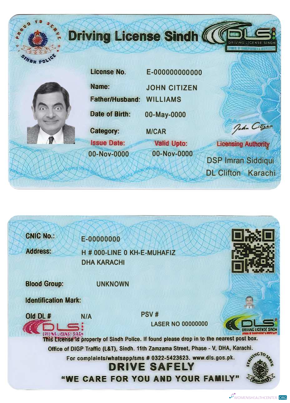 download Pakistan Sindh province driving license (2016 present)